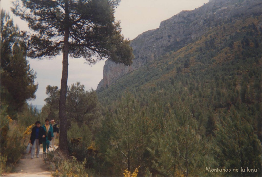 Barranc del Cint, arriba la pared del Alt de Les Pedreres